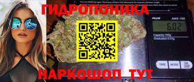 гидра Беслан