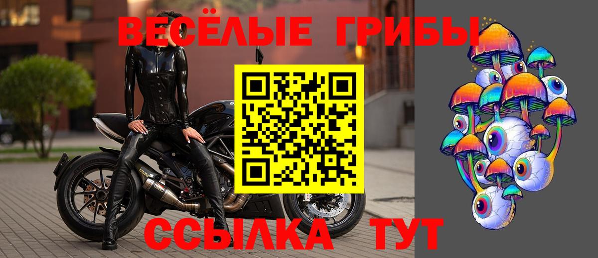 Дзержинск  Галлюциногенные грибы Magic Shrooms  Вход с VPN 
