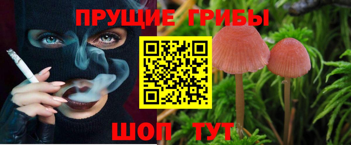 Псилоцибиновые грибы Psilocybe  Галлюциногенные грибы мухоморы  Дзержинск 